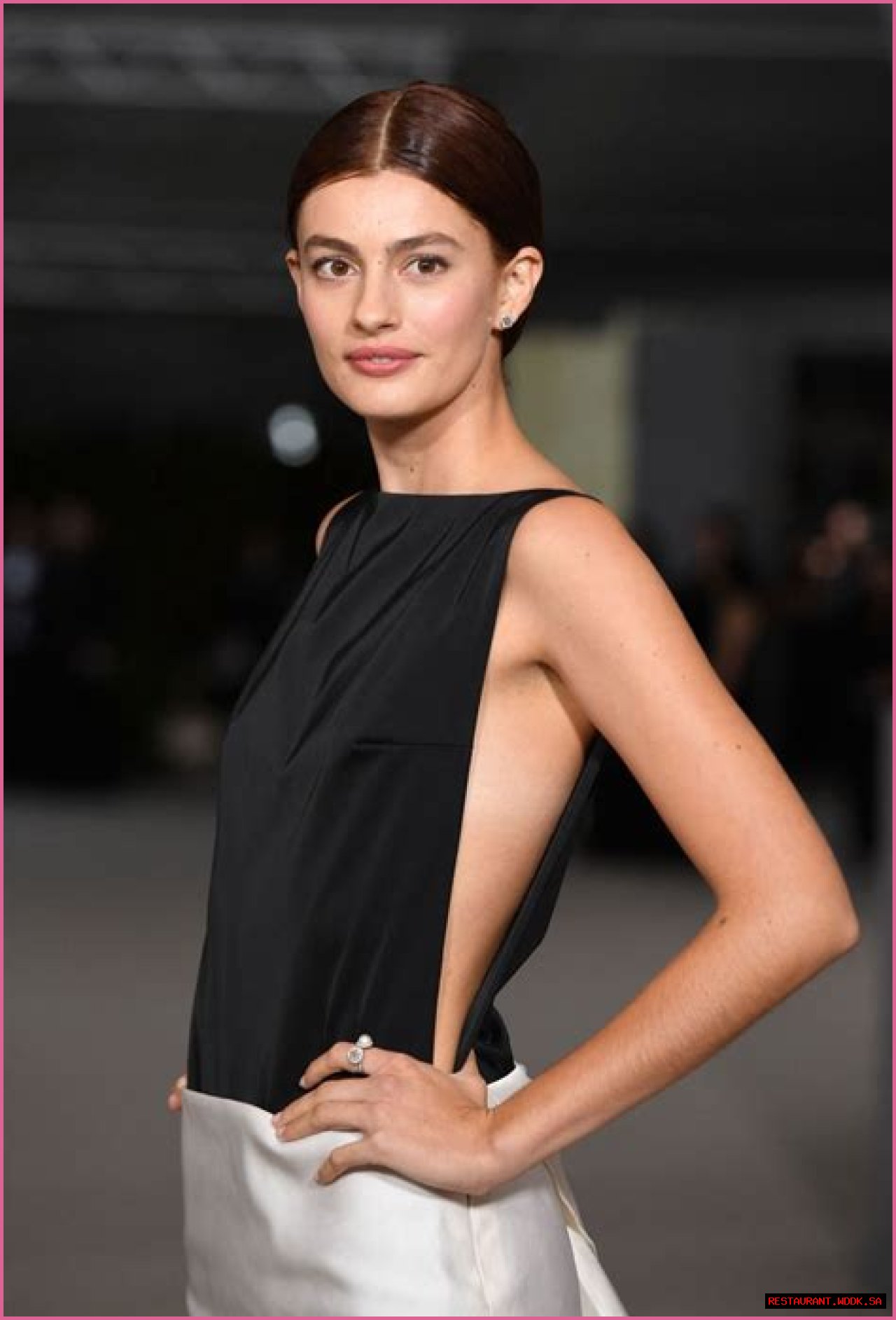 Diana Silvers: Unveiling The Intricacies Of Her Relationships