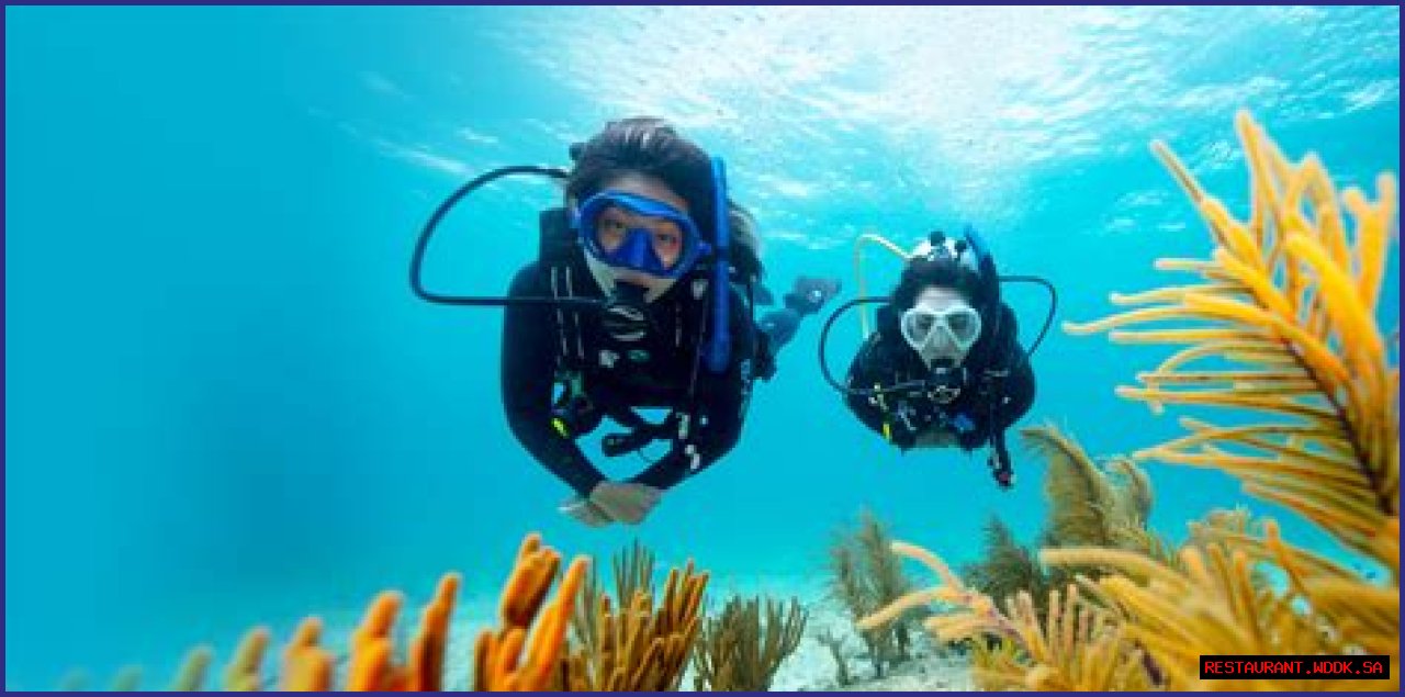 Exploring Jung So Min's Education Journey: A Deep Dive