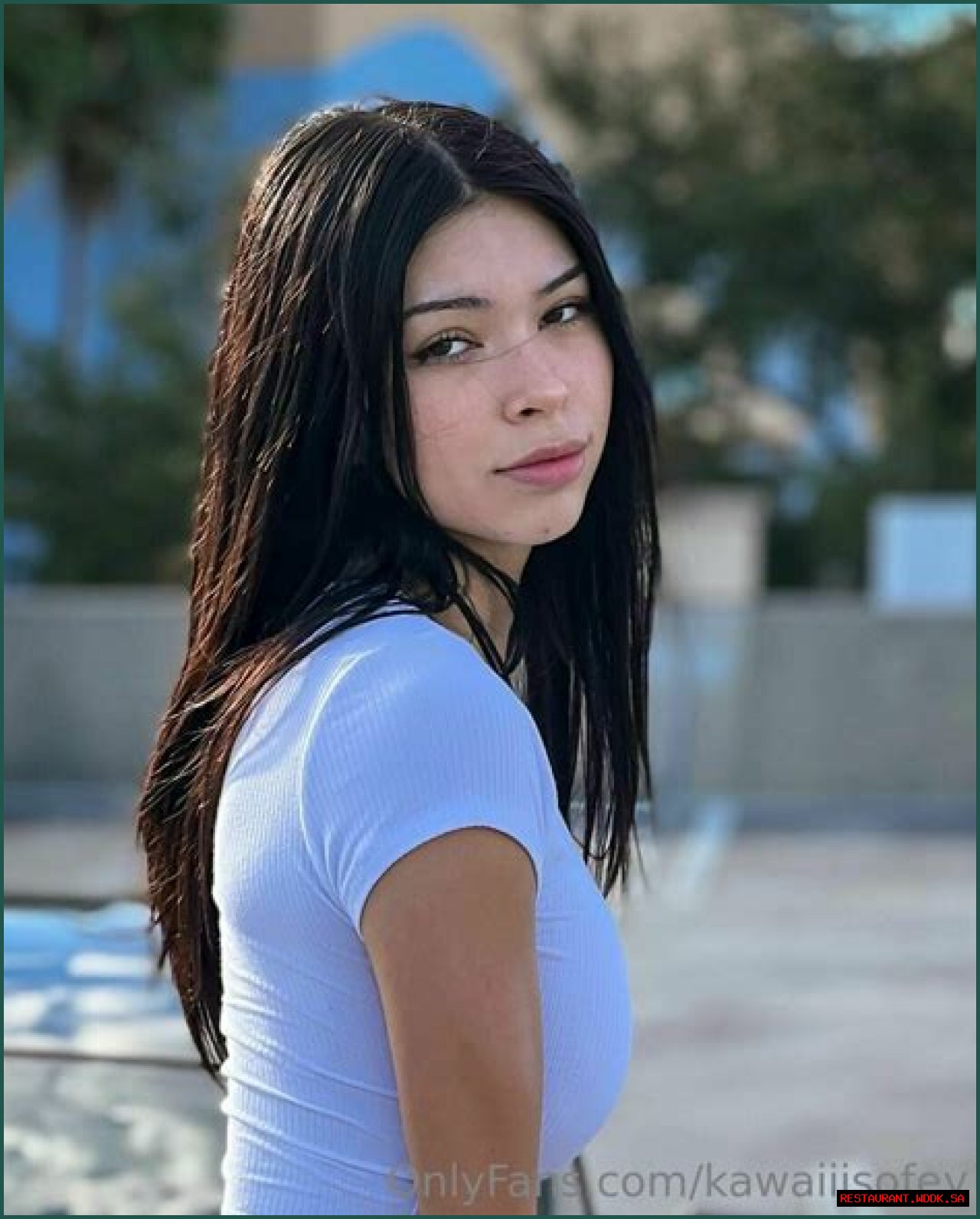 Exploring The Life And Career Of Aishah Sofey: A Comprehensive Overview