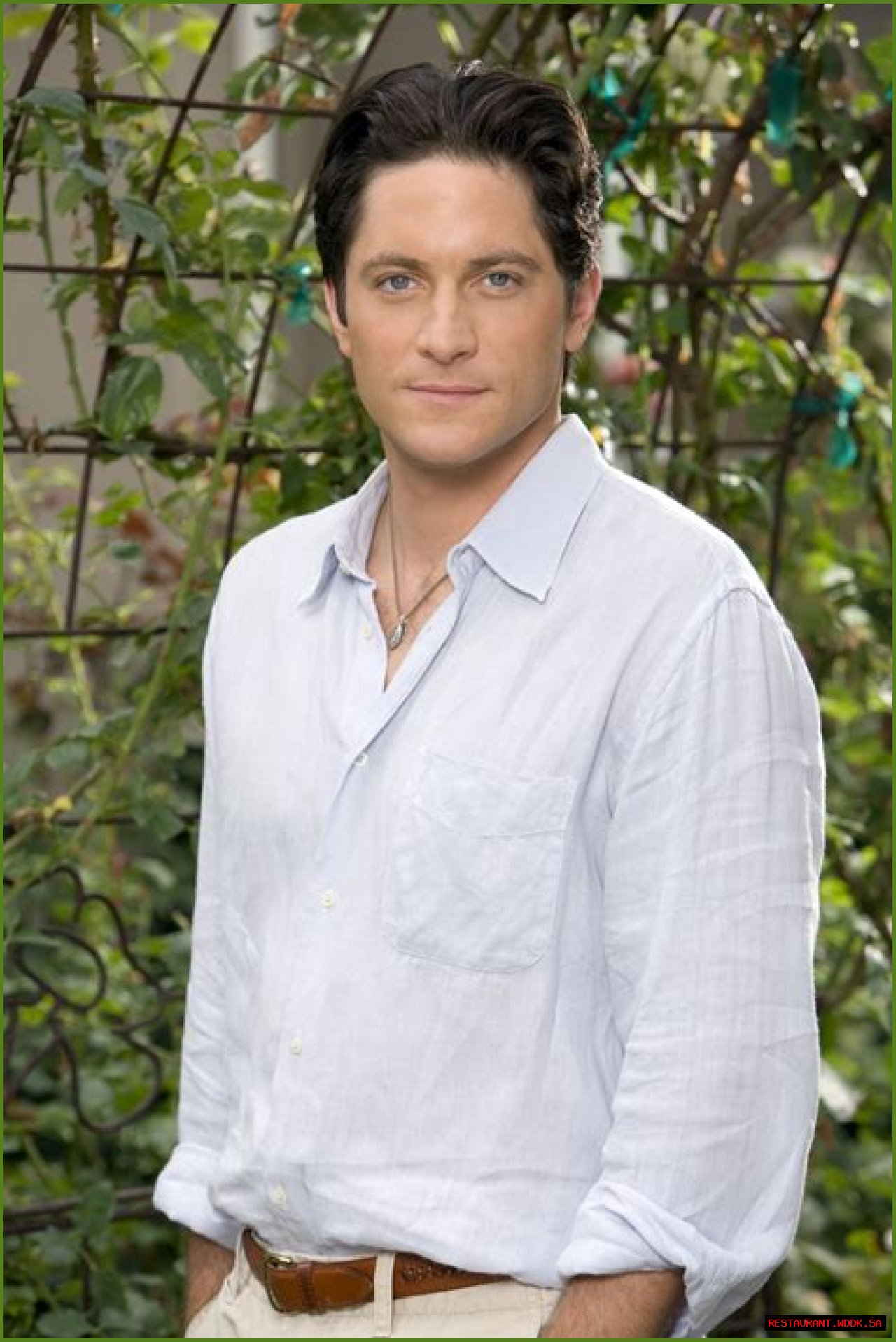 Exploring The Life And Career Of David Conrad