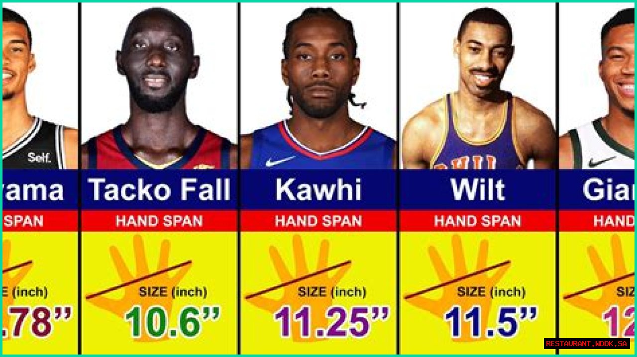 Just How Big Is Shaq's Hand? A Deep Dive Into The Enormous Size Of A Basketball Legend