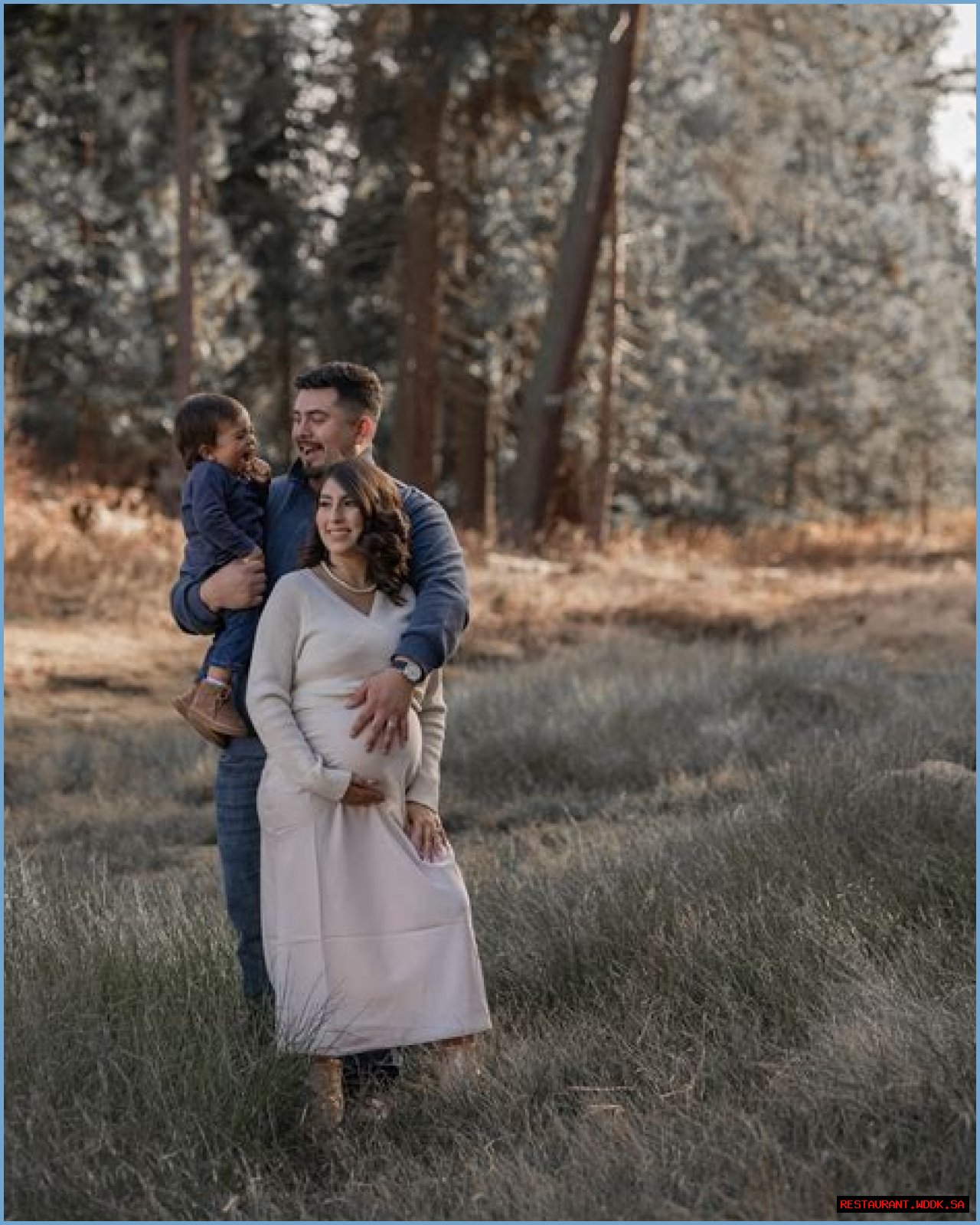 Karla Estrada's Romantic Journey: Exploring Her Boyfriend